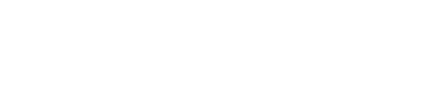 TPNKS WRLD Logo